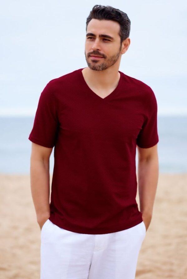 Mens maroon simple tshirt